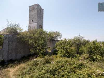 Torniamo sui nostri passi, addentrandoci nel frutteto che quasi "soffoca" la parte centrale del sito